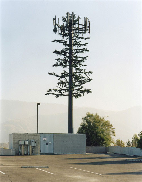 cell phone tower disguised as a tree 10 25 Cell Phone Towers Disguised to Look Like Something Else