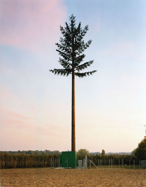 cell phone tower disguised as a tree 3 25 Cell Phone Towers Disguised to Look Like Something Else