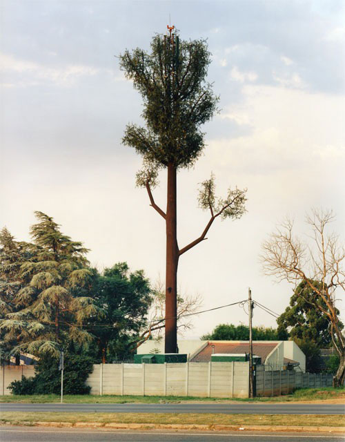 cell phone tower disguised as a tree 5 25 Cell Phone Towers Disguised to Look Like Something Else
