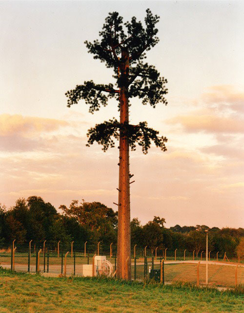 cell phone tower disguised as a tree 6 25 Cell Phone Towers Disguised to Look Like Something Else