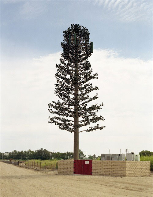cell phone tower disguised as a tree 8 25 Cell Phone Towers Disguised to Look Like Something Else