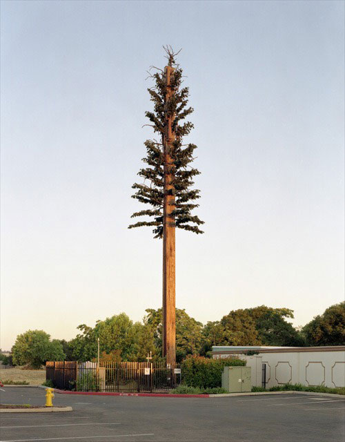 cell phone tower disguised as a tree 9 25 Cell Phone Towers Disguised to Look Like Something Else