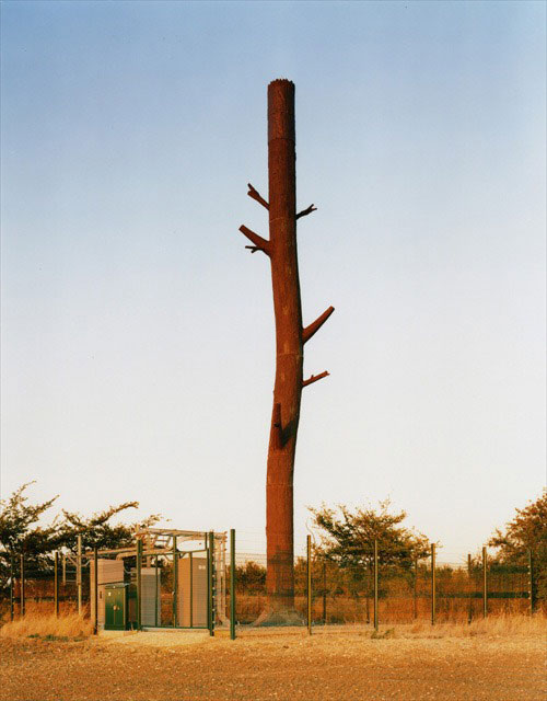 cell phone tower tree trunk 25 Cell Phone Towers Disguised to Look Like Something Else