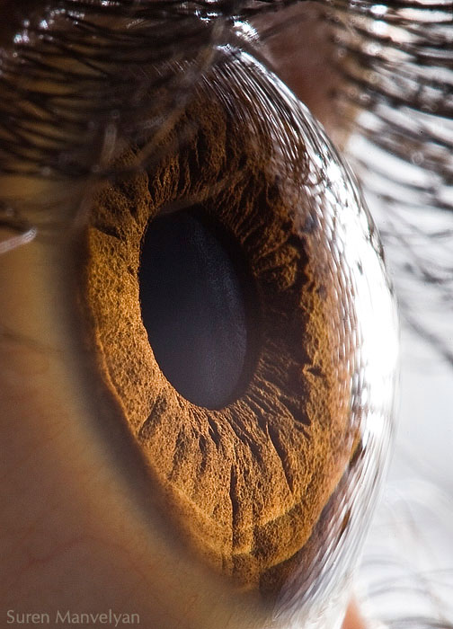 extreme close up of human eye macro suren manvelyan 1 21 Extreme Close Ups of the Human Eye 