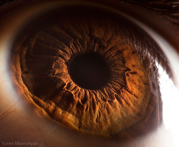 extreme close up of human eye macro suren manvelyan 10 21 Extreme Close Ups of the Human Eye 