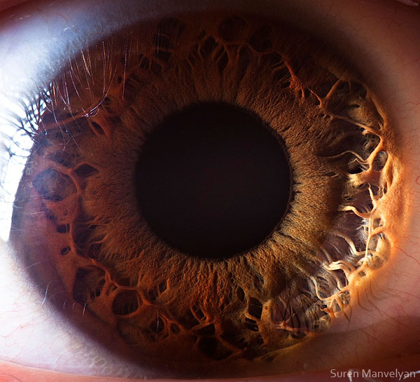 extreme close up of human eye macro suren manvelyan 11 21 Extreme Close Ups of the Human Eye 
