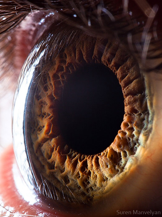 extreme close up of human eye macro suren manvelyan 12 21 Extreme Close Ups of the Human Eye 