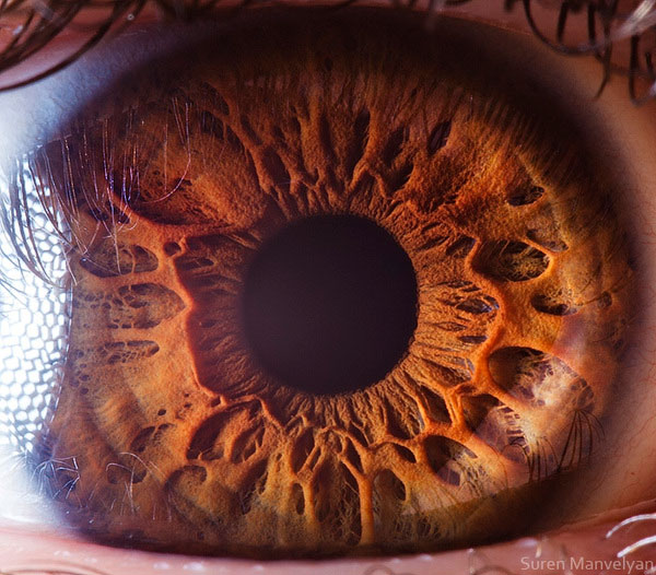 extreme close up of human eye macro suren manvelyan 13 21 Extreme Close Ups of the Human Eye 