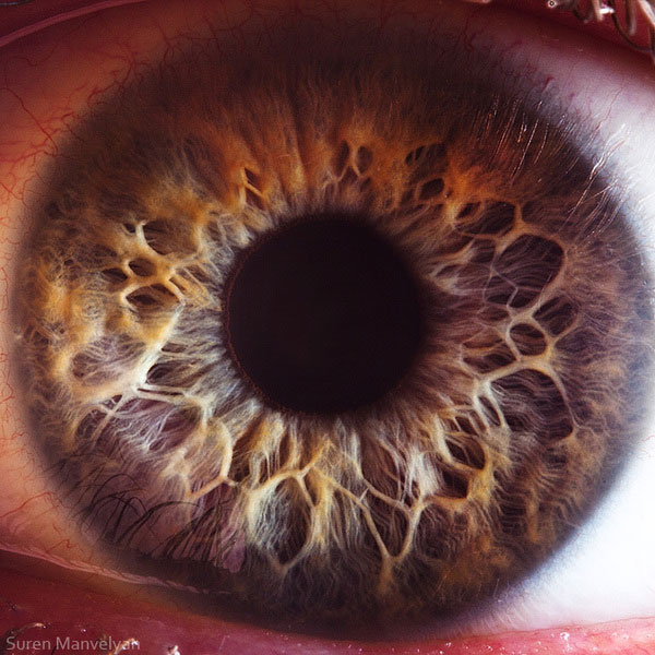 extreme close up of human eye macro suren manvelyan 16 21 Extreme Close Ups of the Human Eye 