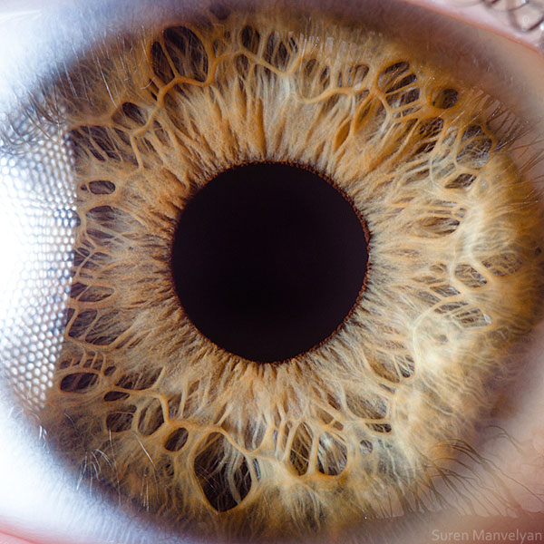 extreme close up of human eye macro suren manvelyan 19 21 Extreme Close Ups of the Human Eye 