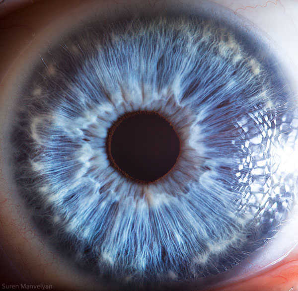 extreme close up of human eye macro suren manvelyan 20 21 Extreme Close Ups of the Human Eye 