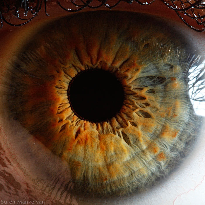 extreme close up of human eye macro suren manvelyan 6 21 Extreme Close Ups of the Human Eye 