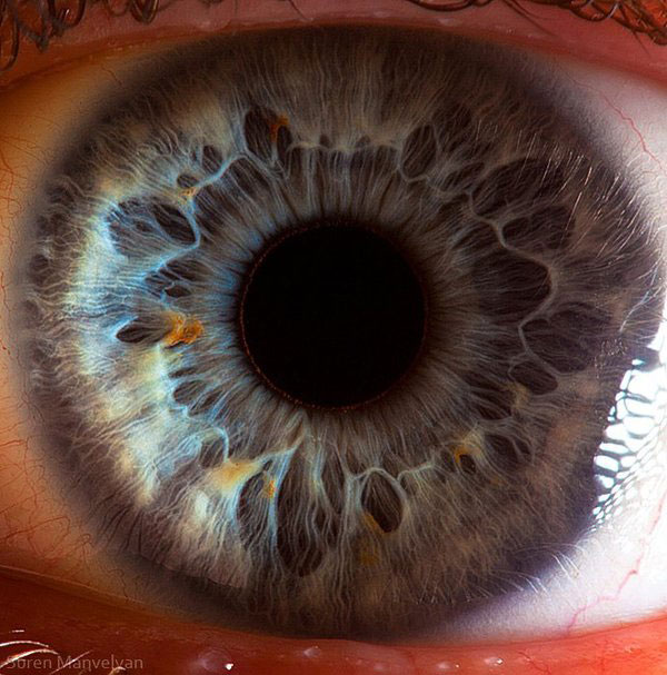 extreme close up of human eye macro suren manvelyan 8 21 Extreme Close Ups of the Human Eye 