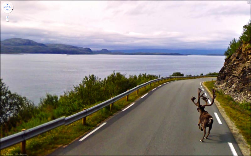 interesting google street view images 10 25 Pictures of Life Captured by Google Street View