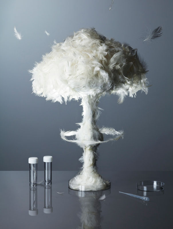 mushroom cloud made from feathers kyle bean Inventive Hand Crafted Art by Kyle Bean