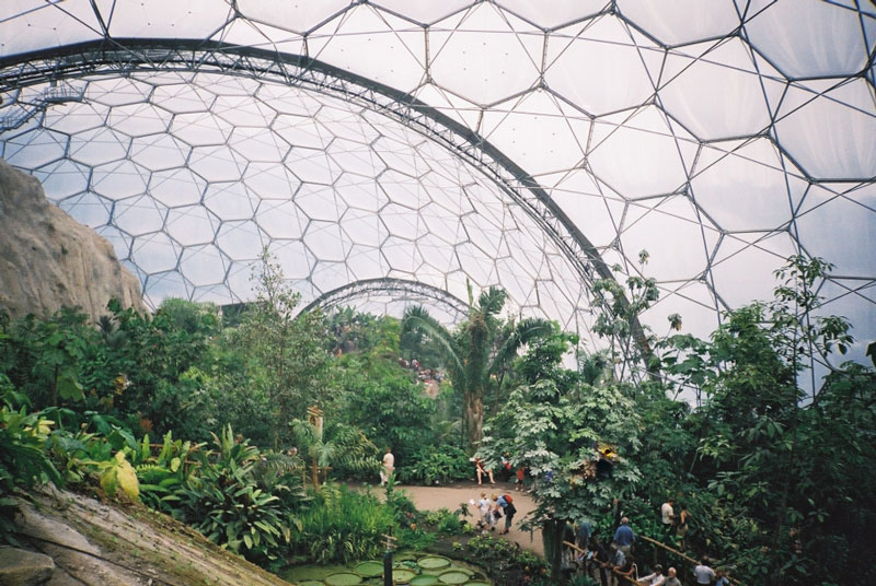 eden project tropical biome inside The Largest Greenhouse in the World