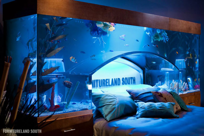 fish tank headboard above bed furnitureland south 2 Cool Custom Fish Tank Headboard for your Bed