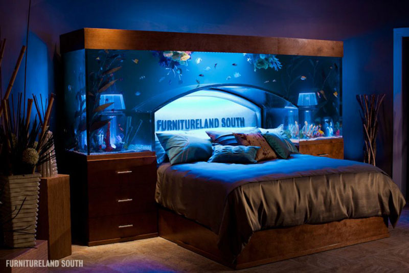fish tank headboard above bed furnitureland south 4 Cool Custom Fish Tank Headboard for your Bed