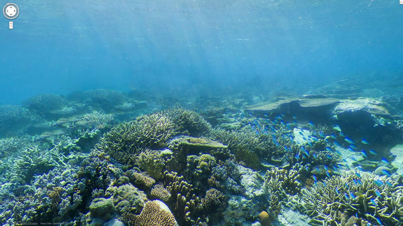 great barrier reef google map street view wilson island Google Adds First Underwater Panoramas to Maps and Street View