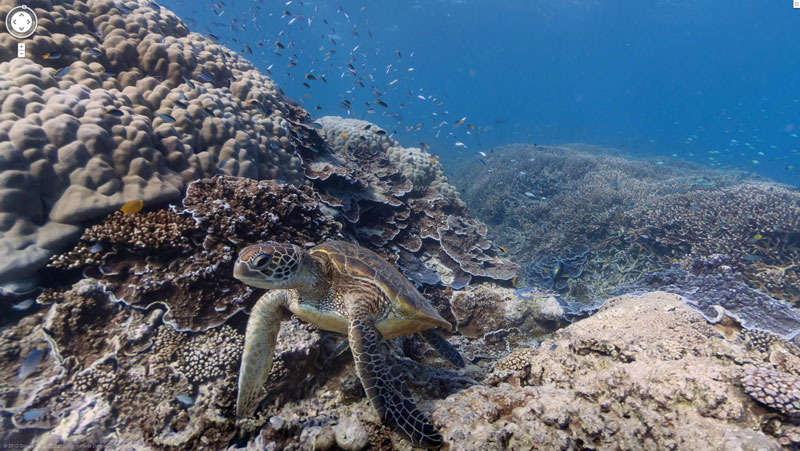 heron island google maps street view great barrier reef Google Adds First Underwater Panoramas to Maps and Street View