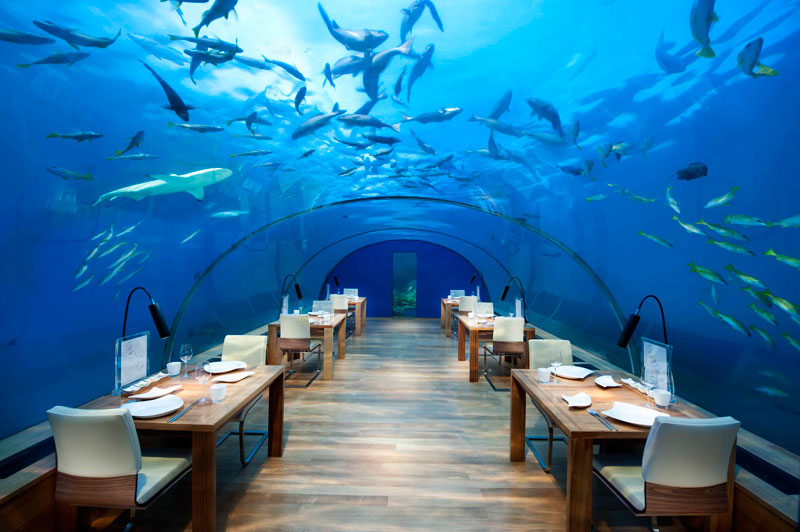 ithaa underwater restaurant conrad maldives rengali island resoirt 1 Ithaa: The Underwater Restaurant in the Maldives