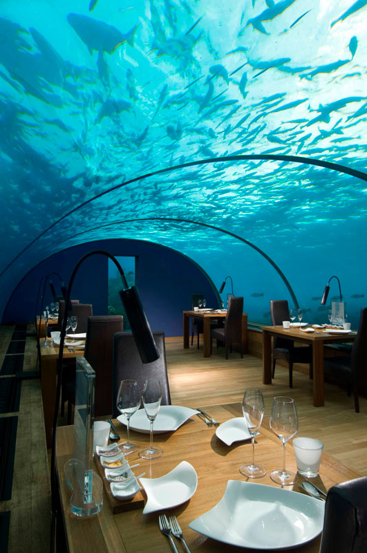 ithaa underwater restaurant conrad maldives rengali island resoirt 2 Ithaa: The Underwater Restaurant in the Maldives