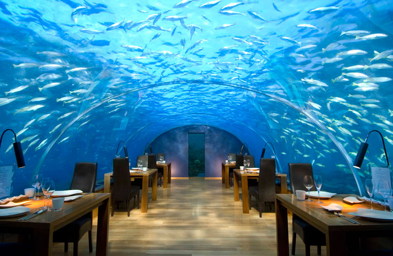 ithaa underwater restaurant conrad maldives rengali island resoirt 3 A Restaurant Beside a Waterfall