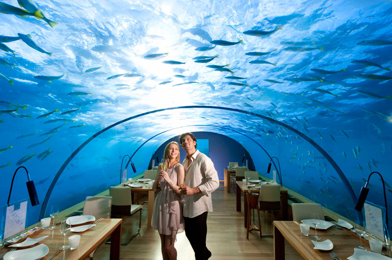 ithaa underwater restaurant conrad maldives rengali island resoirt 5 Ithaa: The Underwater Restaurant in the Maldives