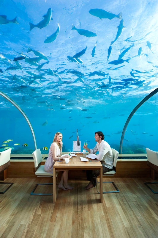 ithaa underwater restaurant conrad maldives rengali island resoirt 6 Ithaa: The Underwater Restaurant in the Maldives