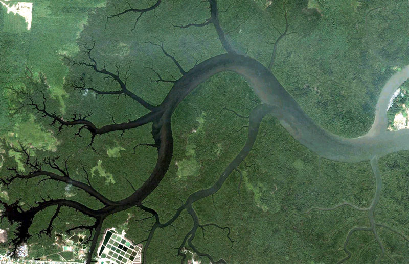 kuching malaysia google earth fractals Fractal Patterns in Nature Found on Google Earth