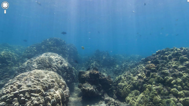 oahu honolulu hawaii hanauma bay google maps street view Google Adds First Underwater Panoramas to Maps and Street View