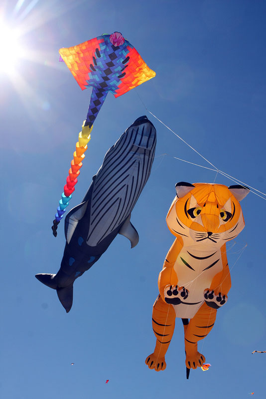 bondi beach festival of the winds 2012 australia nsw The Amazing Kites at the Bondi Beach Festival of the Winds