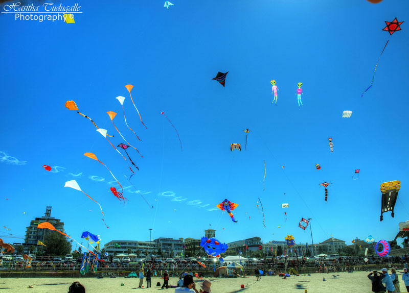bondi beach festival of the winds 2012 The Amazing Kites at the Bondi Beach Festival of the Winds