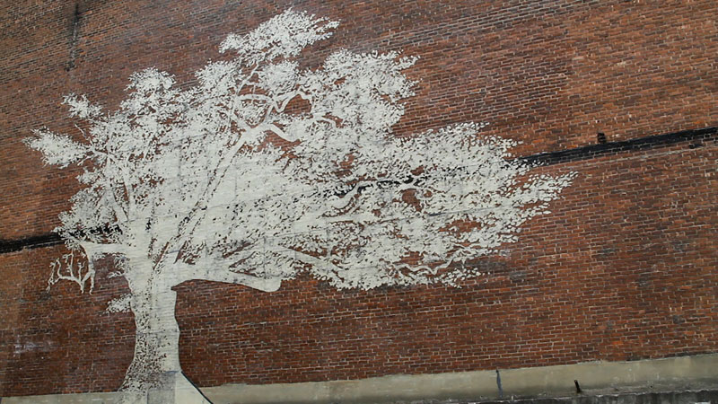 water activated oak tree mural adam niklewicz hartford ct 3 The Water Activated Oak Tree Mural in Hartford
