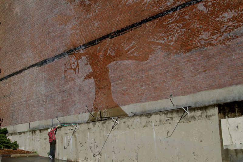 water activated oak tree mural adam niklewicz hartford ct 5 The Water Activated Oak Tree Mural in Hartford