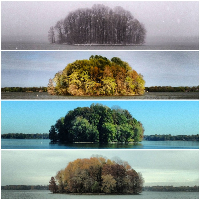 capturing the four seasons in one picture on an island lake springfield illinois 1 Capturing the Four Seasons in a Single Image
