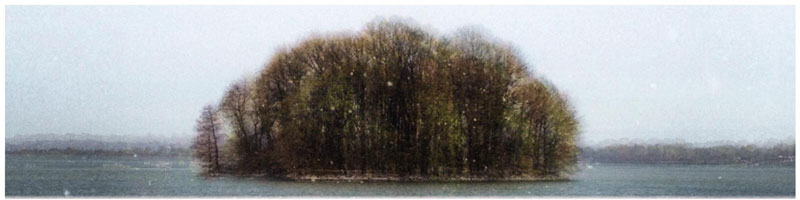 capturing the four seasons in one picture on an island lake springfield illinois 3 Capturing the Four Seasons in a Single Image