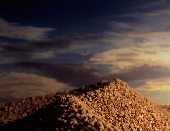 grape nuts dune ernie button The Secret World of Cereal Landscapes