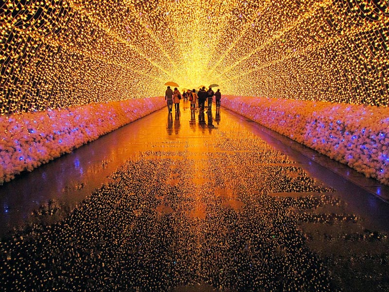 nabano no sato tunnel of light japan The Wisteria Flower Tunnel at Kawachi Fuji Garden
