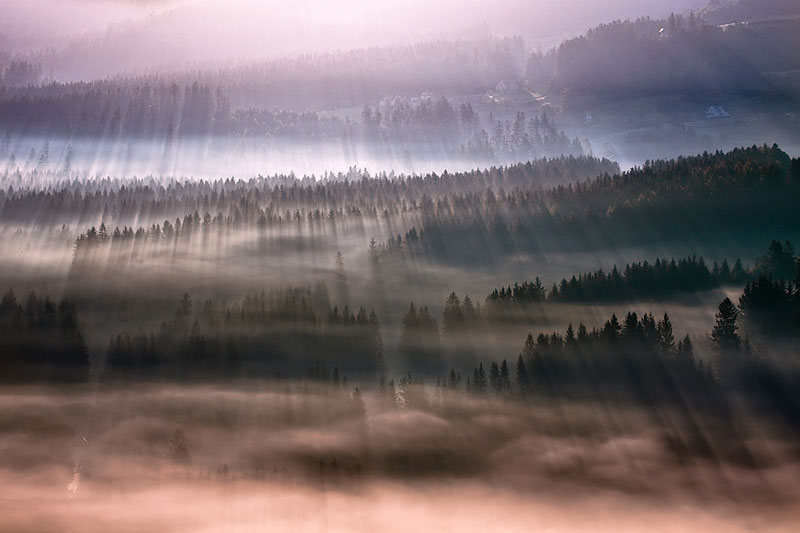 sun kissed landscape photos bathed in fog boguslaw strempel 6 Beautiful Sun Kissed Landscape Photos Bathed in Fog