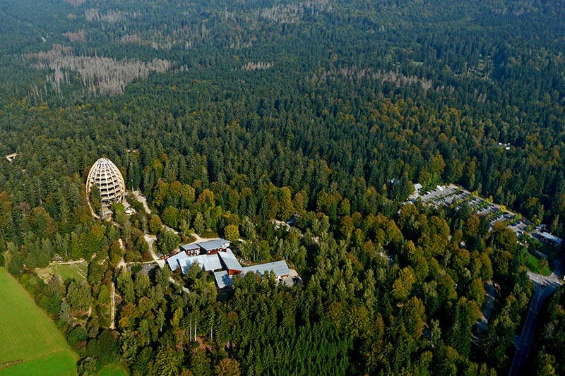 worlds longest tree top walk bavarian forest national park baumwipfelpfad 8 The Longest Tree Top Walk in the World