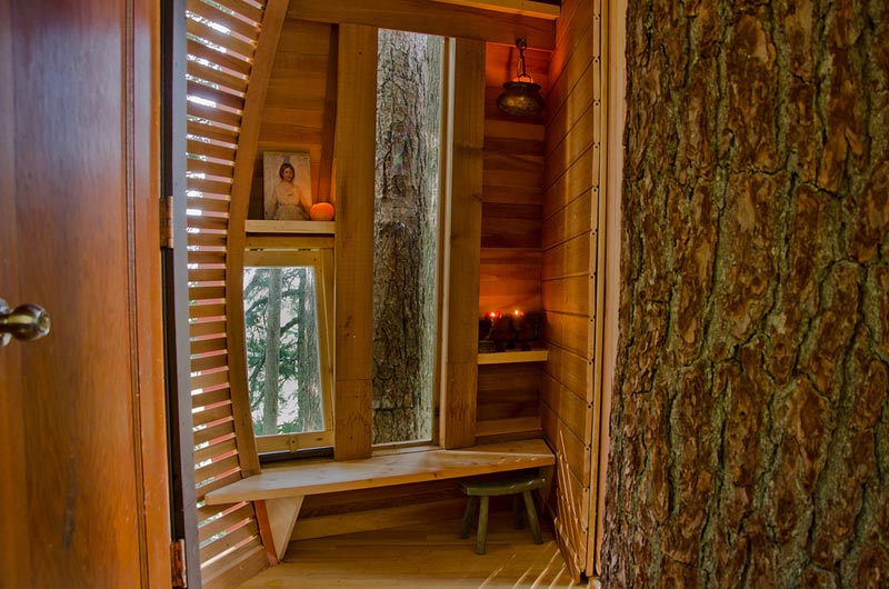 HemLoft secret treehouse hiding in the woods of whistler canada (12)