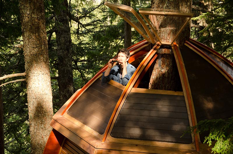 HemLoft secret treehouse hiding in the woods of whistler canada (13)