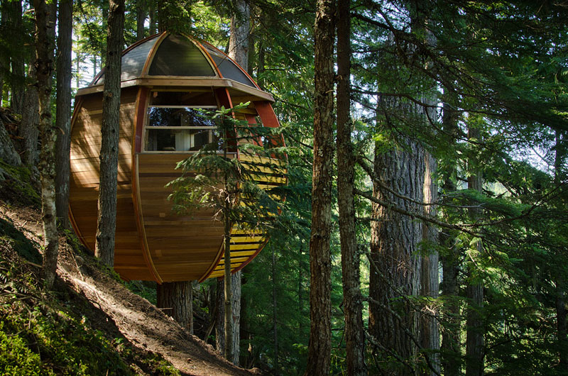 HemLoft secret treehouse hiding in the woods of whistler canada (15)
