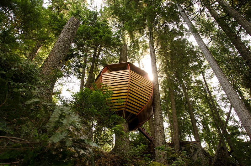 HemLoft secret treehouse hiding in the woods of whistler canada (3)