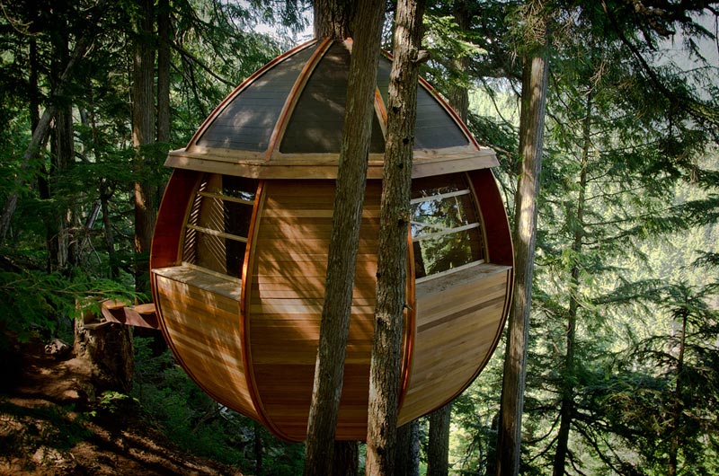 HemLoft secret treehouse hiding in the woods of whistler canada (7)