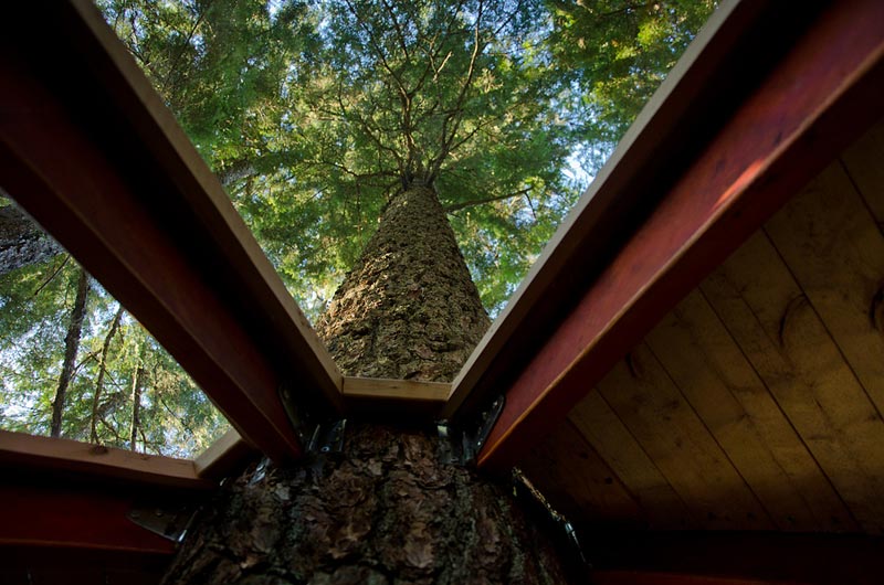 HemLoft secret treehouse hiding in the woods of whistler canada (8)