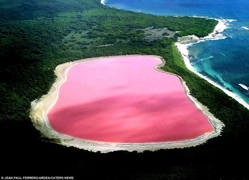 lake hillier pink lake in australia 1 The Underwater Waterfall Illusion at Mauritius Island