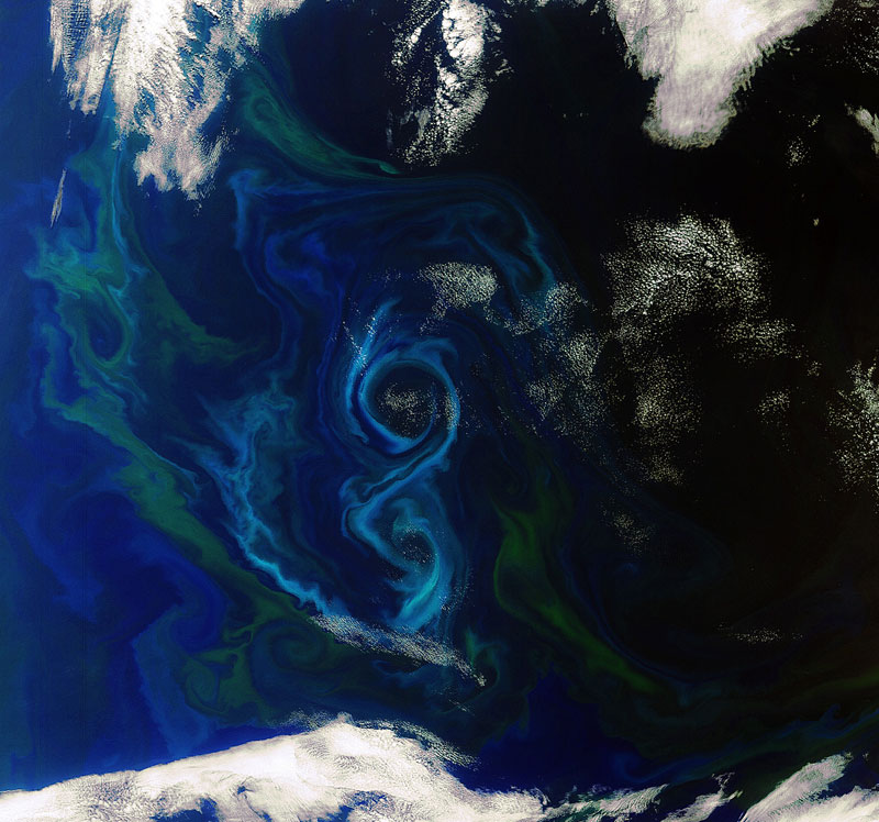 phytoplankton algal bloom from space figure 8 ESA