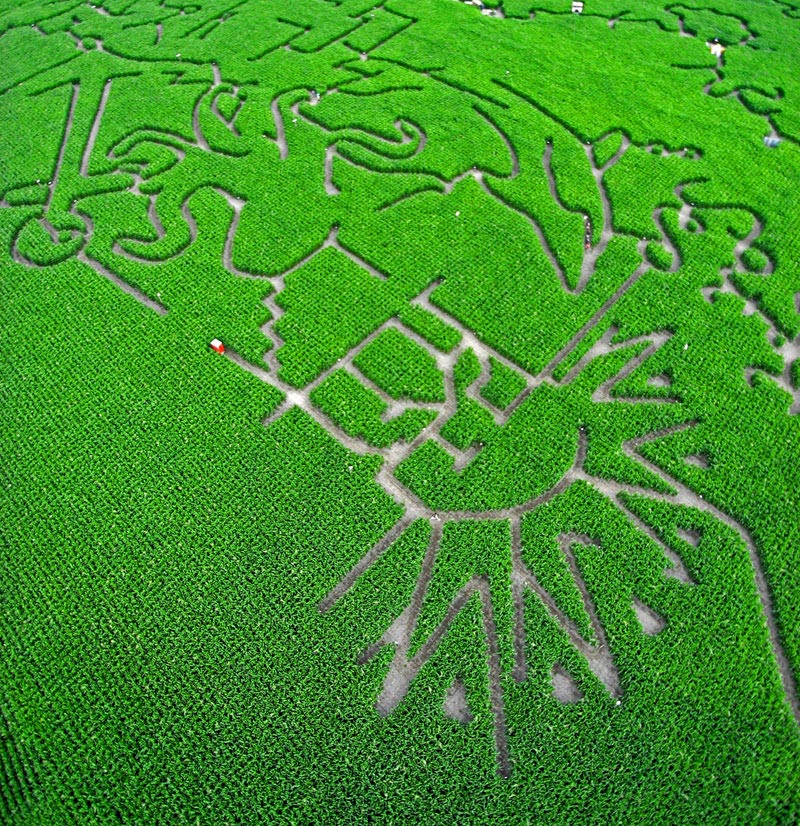 aerial kite photograph of giant maze in hastings new zealand 2008 Picture of the Day: Giant Corn Field Maze from Above